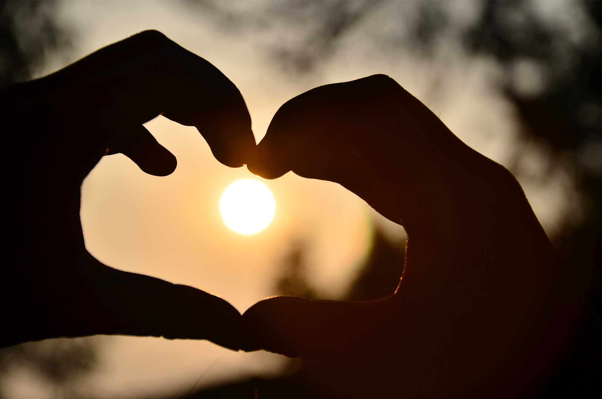 好太太智能晾衣机 好太太智能晾衣机